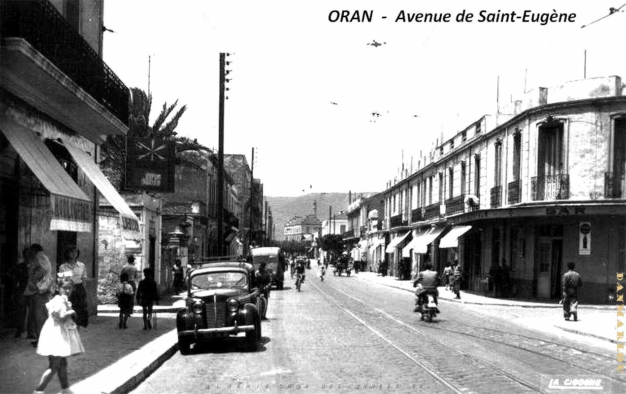 2862- Oran-Saint-Eugene - Avenue de Saint-Eugene.jpg